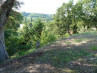 G268 Terrain à bâtir Gensac