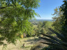 G544 Maison de caractère Secteur Montcaret