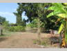 J545 Maison de plain pied Mouliets et Villemartin