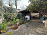 34093 Maison de village Lamothe Montravel 24230