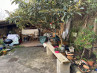 34093 Maison de village Lamothe Montravel 24230