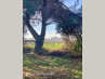 3880 Country House PUJOLS