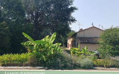 Sale Maison de campagne St Seurin de Prats 299900.00